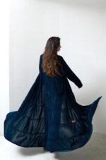 MOODY BLUES - Image 2